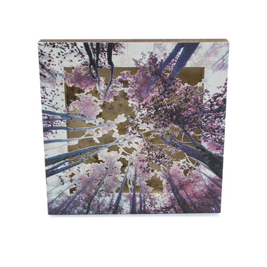 Grabado Tridimensional "Creación 7" - Imagen 5