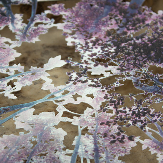 Grabado Tridimensional "Creación 7" - Imagen 6