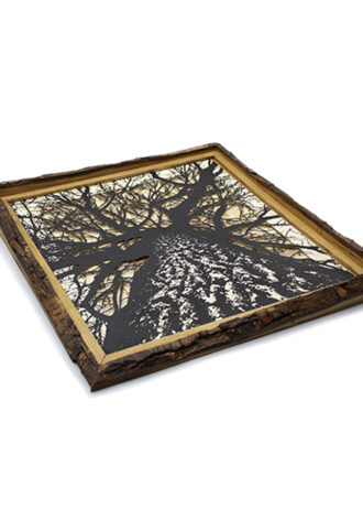 Obra_19_WEB(1)