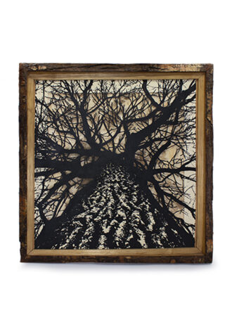 Obra_19_WEB(3)