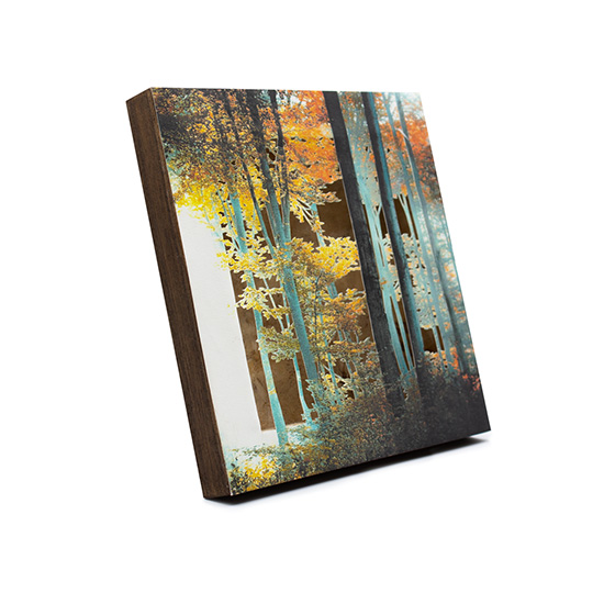 Grabado Tridimensional "Creación 16" - Imagen 3