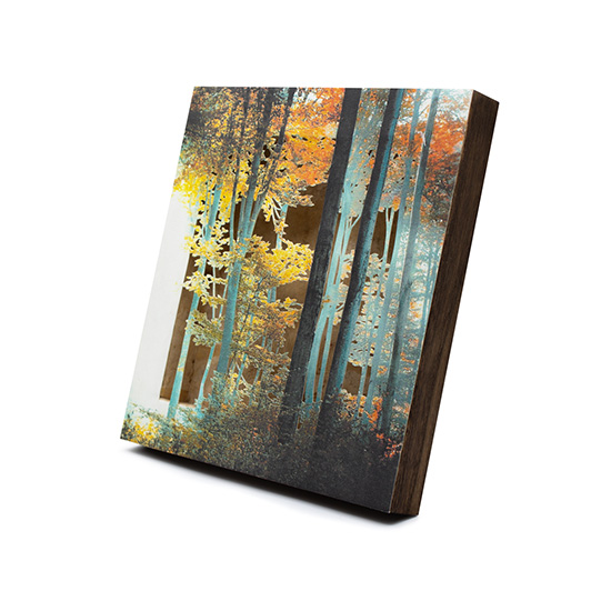 Grabado Tridimensional "Creación 16" - Imagen 4