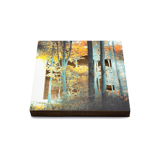 Grabado Tridimensional "Creación 16" - Imagen 5