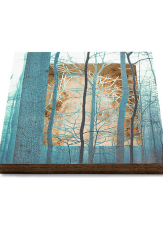 Obra_26_web (2)