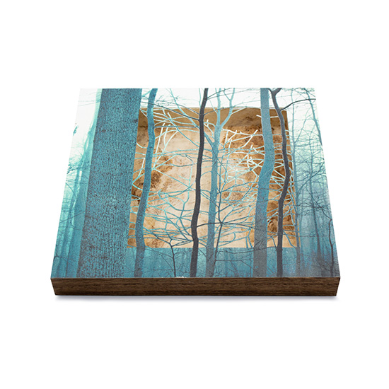 Grabado Tridimensional "Creación 17" - Imagen 2