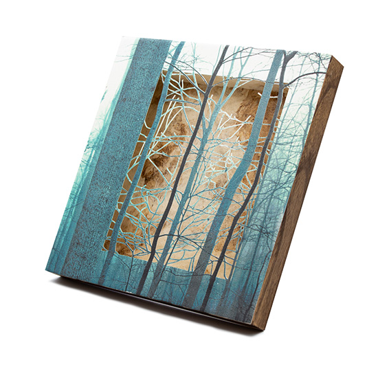 Grabado Tridimensional "Creación 17" - Imagen 7