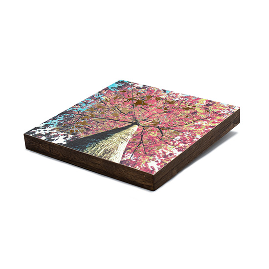 Grabado Tridimensional "Creación 18" - Imagen 3