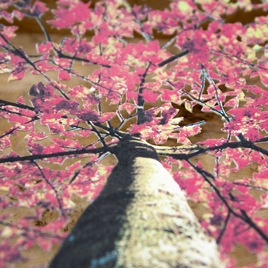 Grabado Tridimensional "Creación 18" - Imagen 5