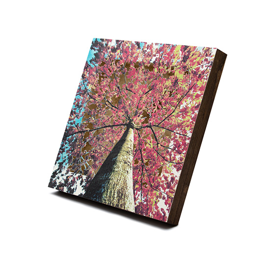 Grabado Tridimensional "Creación 18" - Imagen 6