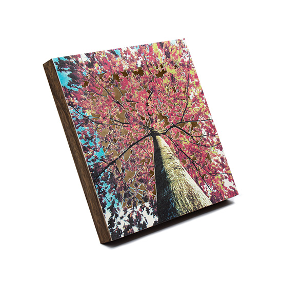 Grabado Tridimensional "Creación 18" - Imagen 7