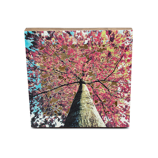 Grabado Tridimensional "Creación 18" - Imagen 8