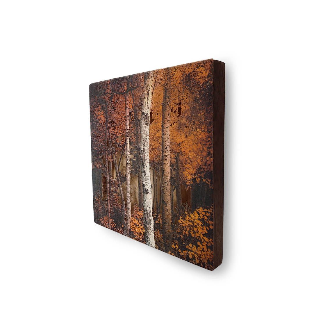 Grabado Tridimensional "Creación 9" - Imagen 3