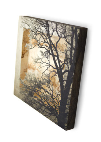 Obra_5_ web (1)