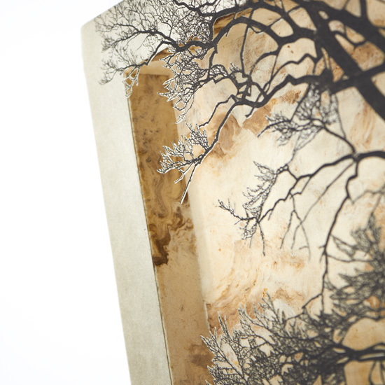 Grabado Tridimensional "Creación 11" - Imagen 4