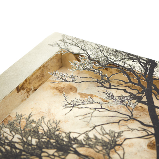 Grabado Tridimensional "Creación 11" - Imagen 5