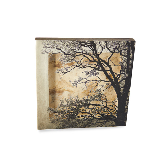 Grabado Tridimensional "Creación 11" - Imagen 6