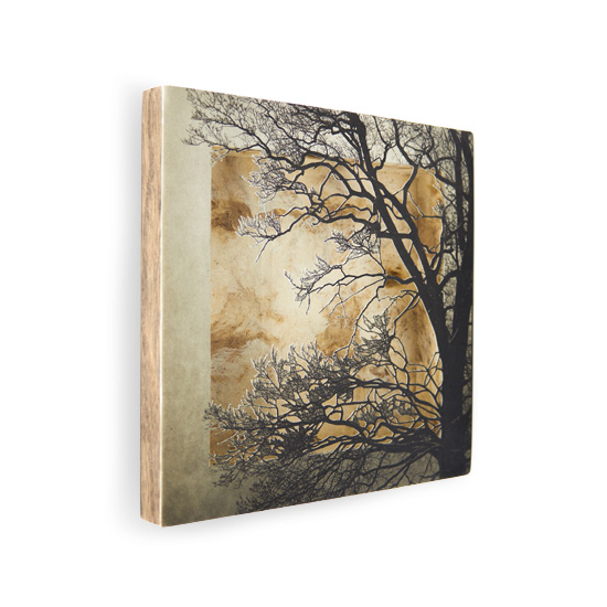 Grabado Tridimensional "Creación 11" - Imagen 8