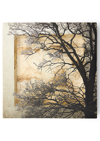 Obra_5_ web (8)