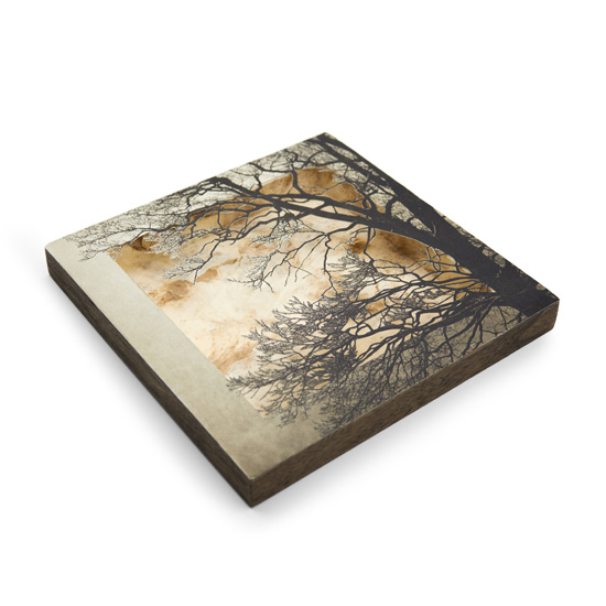 Grabado Tridimensional "Creación 11" - Imagen 9