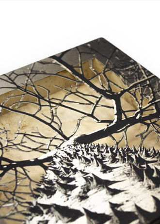 Obra_6_web (1)