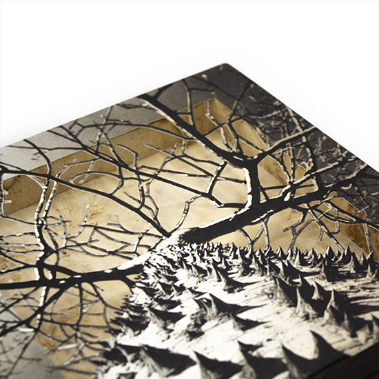 Grabado Tridimensional "Creación 12" - Imagen 2