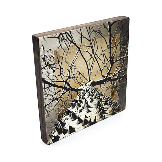 Grabado Tridimensional "Creación 12" - Imagen 3