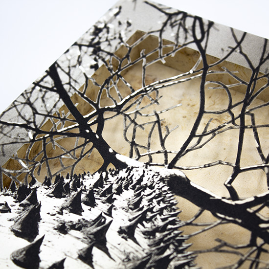 Grabado Tridimensional "Creación 12" - Imagen 5