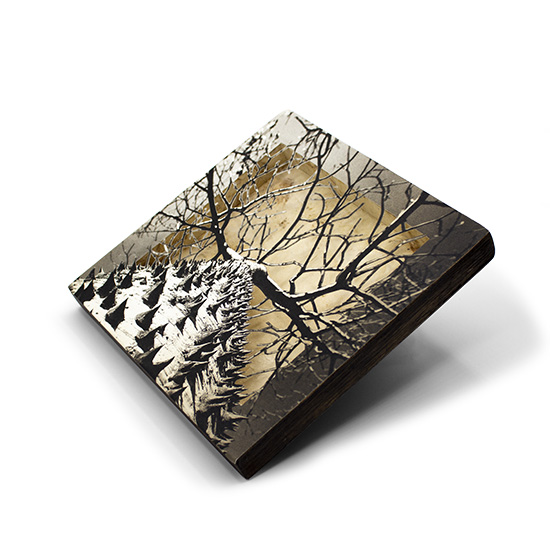 Grabado Tridimensional "Creación 12" - Imagen 6