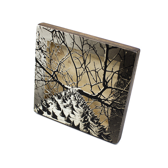 Grabado Tridimensional "Creación 12" - Imagen 7