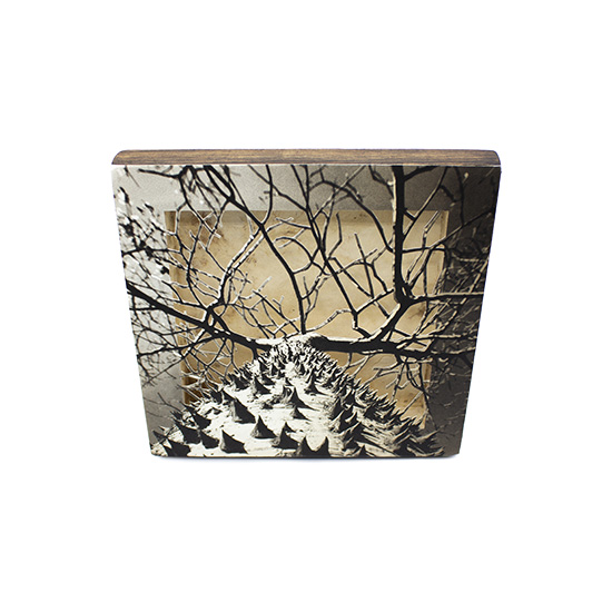 Grabado Tridimensional "Creación 12" - Imagen 8