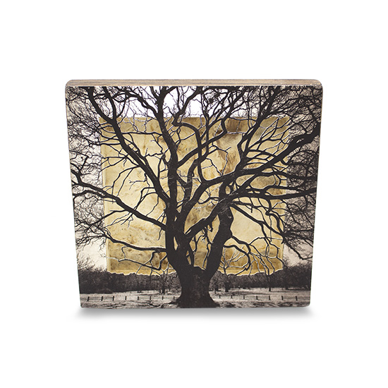 Grabado Tridimensional "Creación 3" - Imagen 2