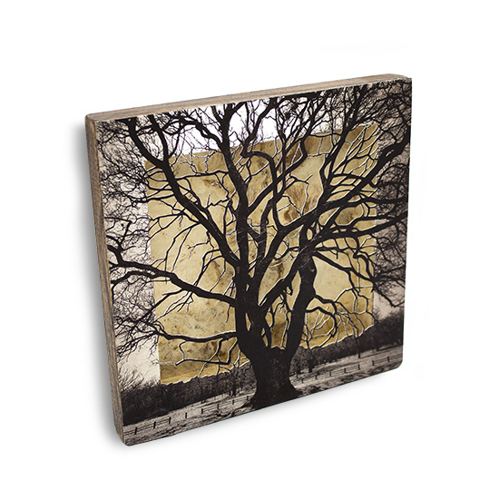 Grabado Tridimensional "Creación 3" - Imagen 3