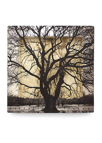 Obra_7_web (3)