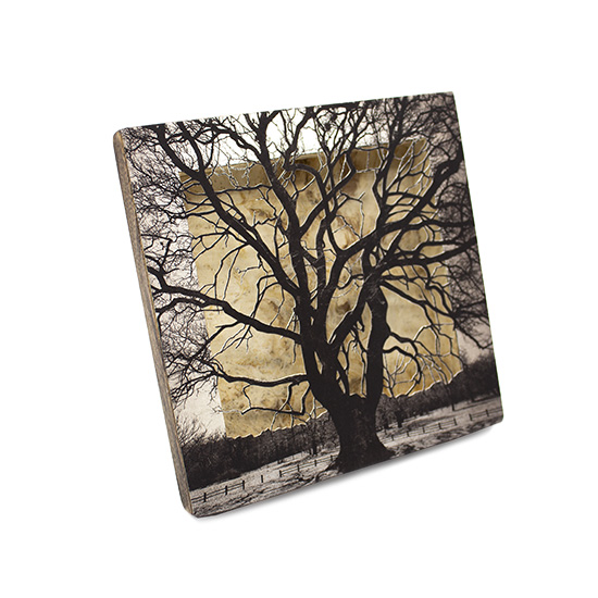 Grabado Tridimensional "Creación 3" - Imagen 4