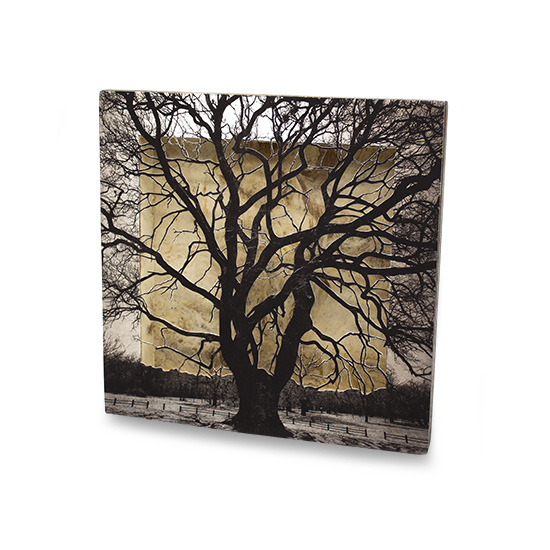 Grabado Tridimensional "Creación 3" - Imagen 5