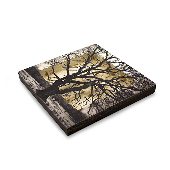 Grabado Tridimensional "Creación 3" - Imagen 6