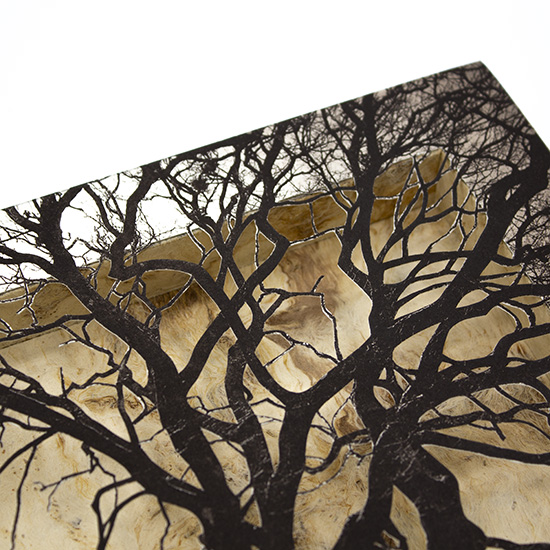 Grabado Tridimensional "Creación 3" - Imagen 7