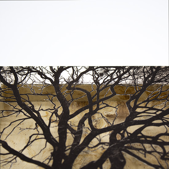 Grabado Tridimensional "Creación 3" - Imagen 8