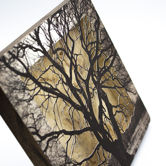 Grabado Tridimensional "Creación 3" - Imagen 9