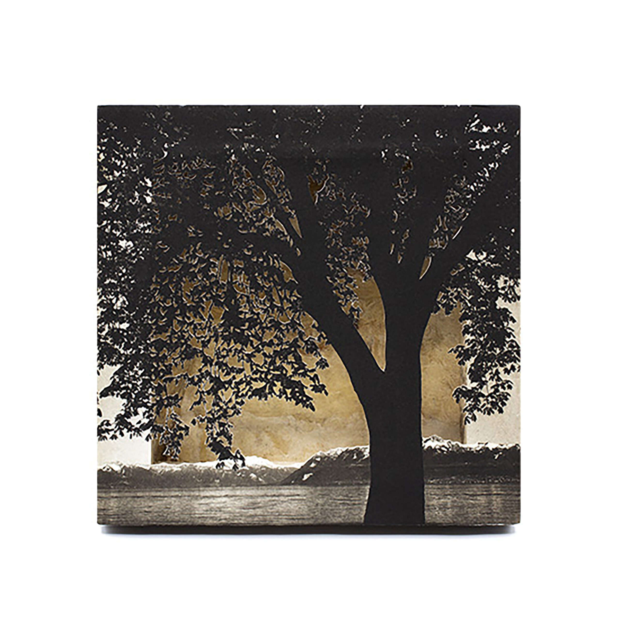 Grabado Tridimensional "Creación 8"