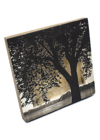 Obra_8_web (2)