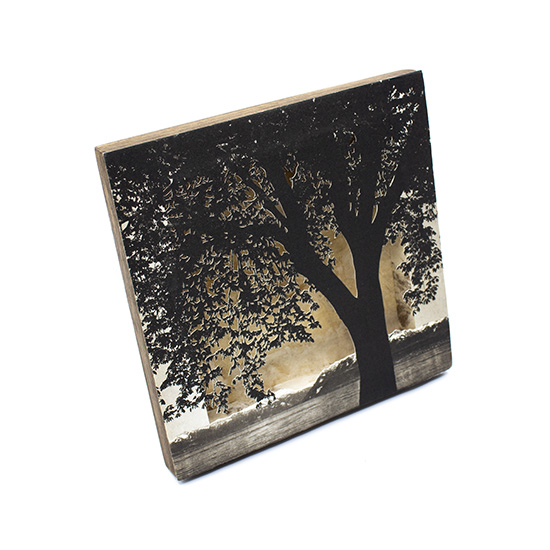 Grabado Tridimensional "Creación 8" - Imagen 2