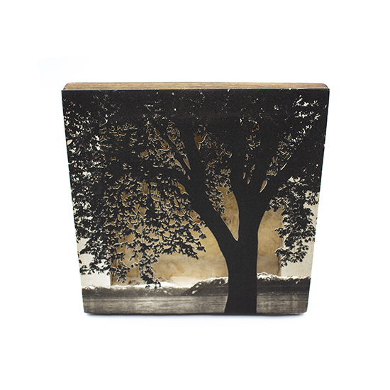 Grabado Tridimensional "Creación 8" - Imagen 3