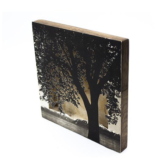 Grabado Tridimensional "Creación 8" - Imagen 4