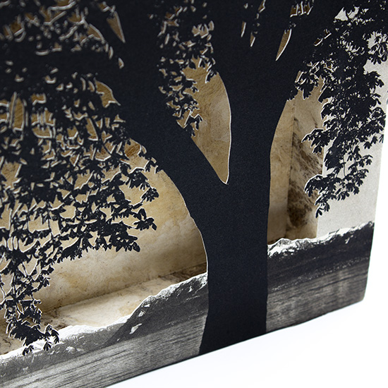 Grabado Tridimensional "Creación 8" - Imagen 6