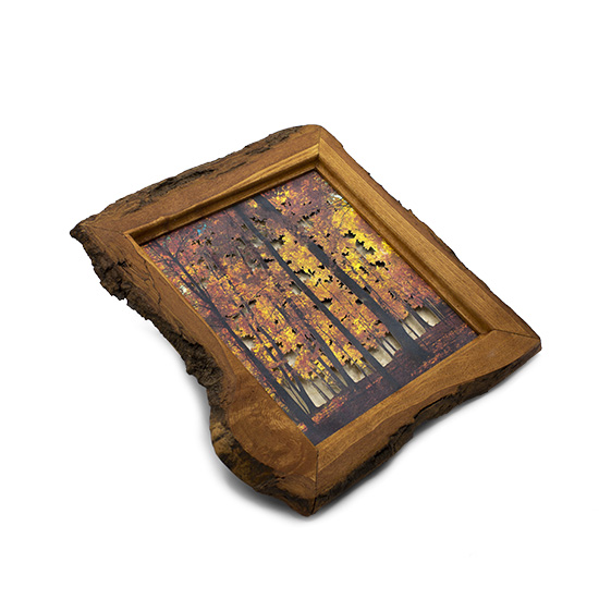 Grabado Tridimensional "Dentro del Bosque 1" - Imagen 2