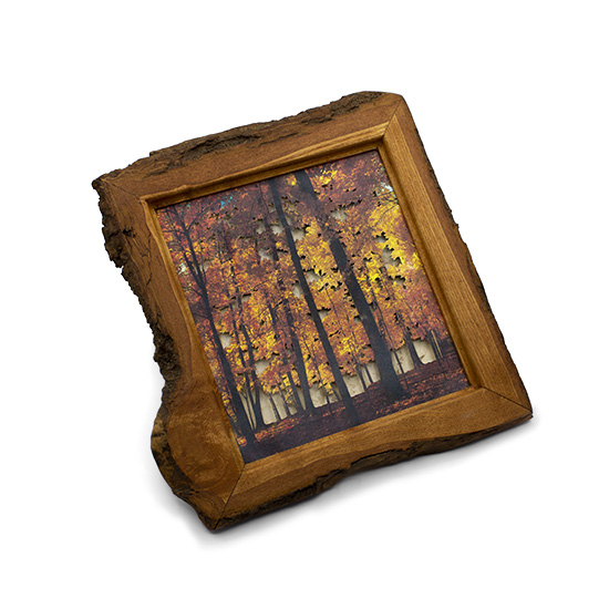 Grabado Tridimensional "Dentro del Bosque 1" - Imagen 3