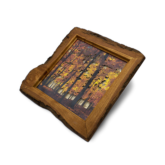 Grabado Tridimensional "Dentro del Bosque 1" - Imagen 4