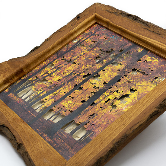 Grabado Tridimensional "Dentro del Bosque 1" - Imagen 5