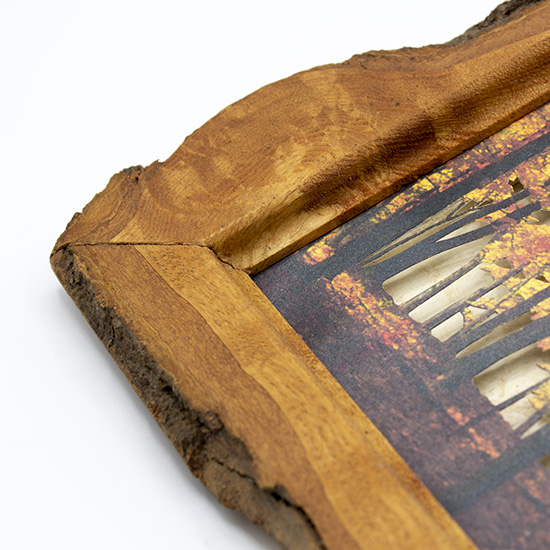 Grabado Tridimensional "Dentro del Bosque 1" - Imagen 6